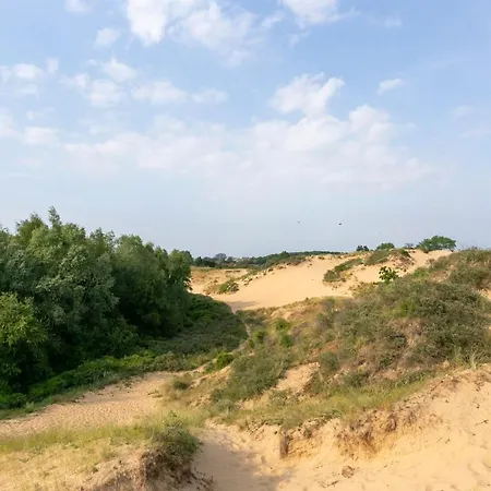 Vakantievilla Met Luxe En Sauna In Duinenreservaat * קוקסיידה